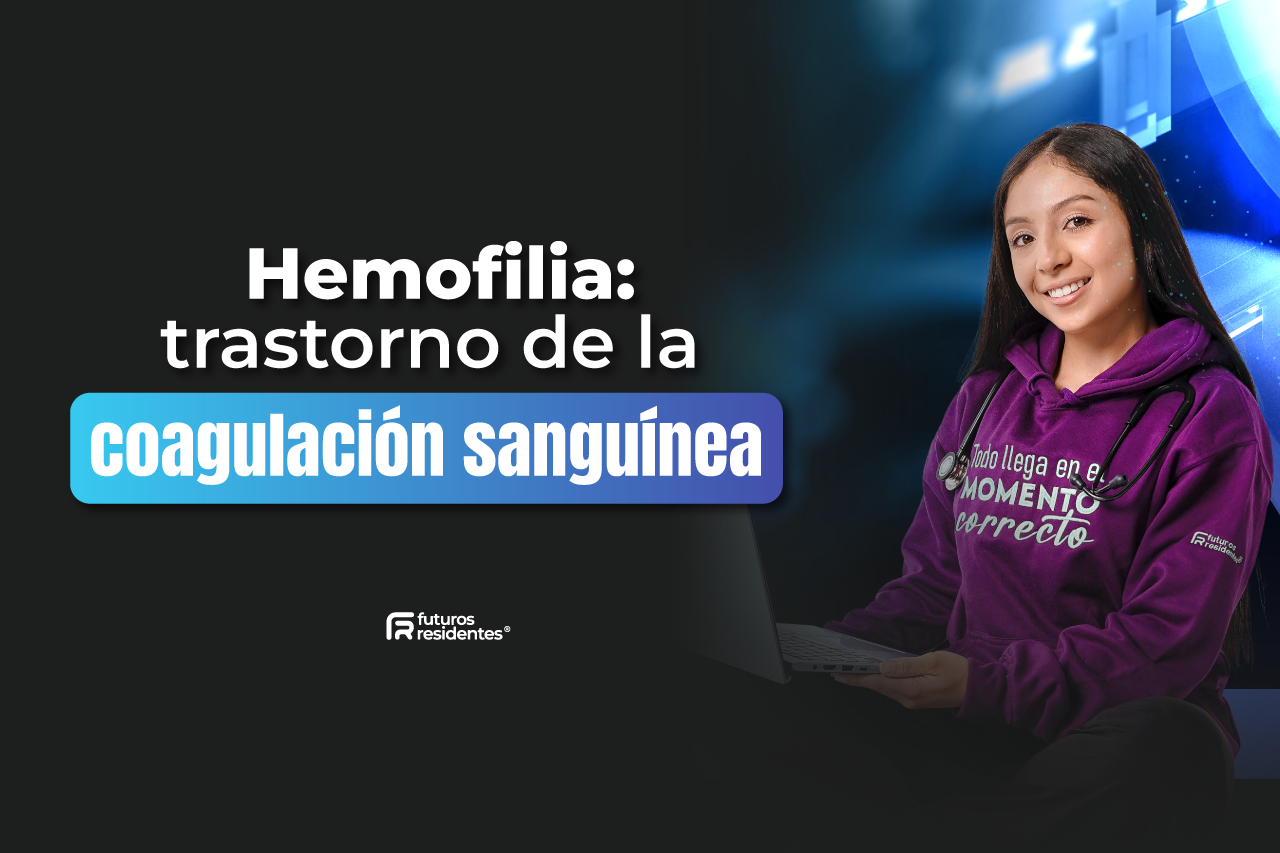 inicio
